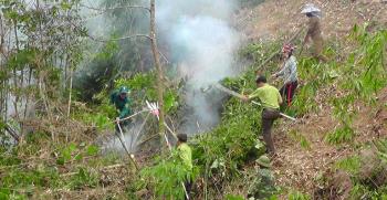 Diễn tập ứng phó phòng cháy, chữa cháy rừng tại huyện Trấn Yên.